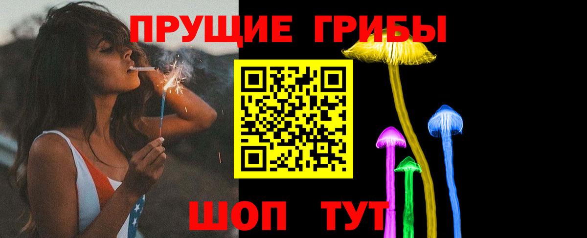 Галлюциногенные грибы Psilocybe Карабулак